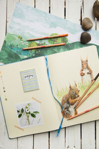 product-thumbnail