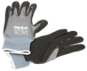 variant-20224