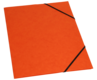 variant-00899