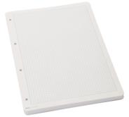Biella Ringbucheinlagen, A4, 100 g/m², kariert 5 mm mit Rand, 210 x 297 mm