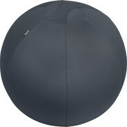 Leitz Ergo Cosy Sitzball, Ø 65 cm
