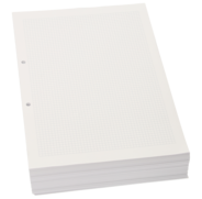 ingold-biwa Ringbucheinlagen, A4, 90 g/m², kariert 4 mm mit Rand, 210 x 297 mm