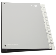 Pultmappe Pagna Color 1-31 silber