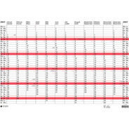 Simplex Jahresplaner 2027, A2, 12 Monate / Seite, weiss/rot