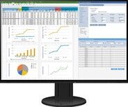 Eizo Monitor EV2457-Swiss Edition, 24.1"