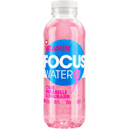 Focus Water Care Mirabelle Rhabarber, Pet, 50 cl, 12 Stk.