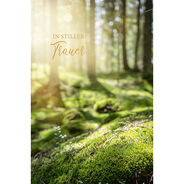ABC Trauerkarte, 12.5 x 17.6 cm, Wald im Sonnenlicht